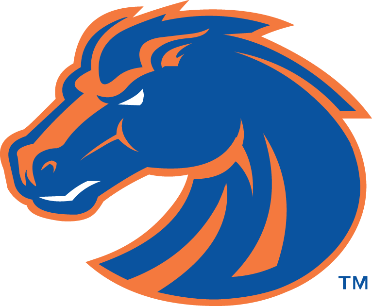Boise State Broncos 2002-2012 Secondary Logo diy fabric transfer